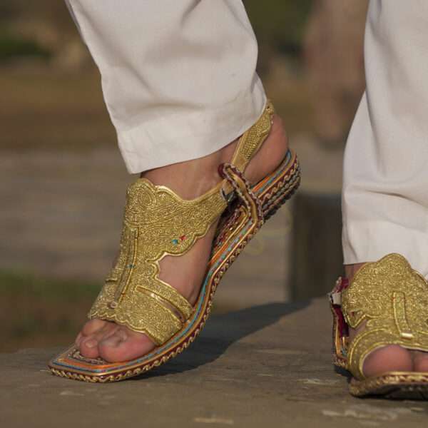 tillakheri, tillachappal, tillywalichappal, zarichappal, talagang zari chappal, lawachappal, zarichappaldesign, ChakwaliaShoes, zarichappal, zarikheri, mianwalizarichappal, lawazarichappal,nawabichappal, zaritillachappal, zaritillakheri crkheri crwalikheri zarisandal