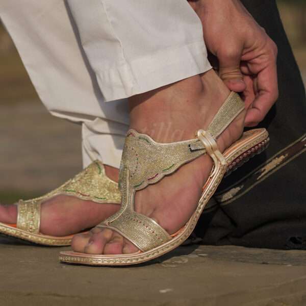 tillakheri, tillachappal, tillywalichappal, zarichappal, talagang zari chappal, lawachappal, zarichappaldesign, ChakwaliaShoes, zarichappal, zarikheri, mianwalizarichappal, lawazarichappal,nawabichappal, zaritillachappal, zaritillakheri