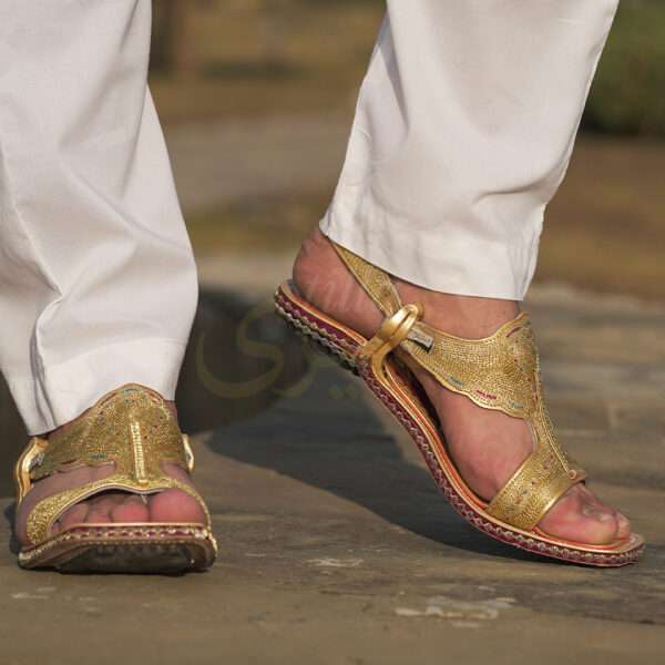 tillakheri, tillachappal, tillywalichappal, zarichappal, talagang zari chappal, lawachappal, zarichappaldesign, ChakwaliaShoes, zarichappal, zarikheri, mianwalizarichappal, lawazarichappal,nawabichappal, zaritillachappal, zaritillakheri