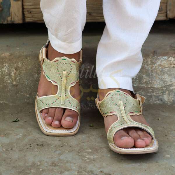 tillakheri, tillachappal, tillywalichappal, zarichappal, talagang zari chappal, lawachappal, zarichappaldesign, ChakwaliaShoes, zarichappal, zarikheri, mianwalizarichappal, lawazarichappal,nawabichappal, zaritillachappal, zaritillakheri