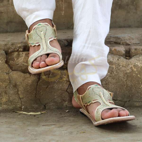 tillakheri, tillachappal, tillywalichappal, zarichappal, talagang zari chappal, lawachappal, zarichappaldesign, ChakwaliaShoes, zarichappal, zarikheri, mianwalizarichappal, lawazarichappal,nawabichappal, zaritillachappal, zaritillakheri