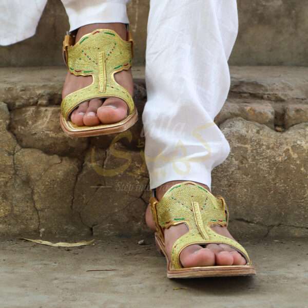 tillakheri, tillachappal, tillywalichappal, zarichappal, talagang zari chappal, lawachappal, zarichappaldesign, ChakwaliaShoes, zarichappal, zarikheri, mianwalizarichappal, lawazarichappal,nawabichappal, zaritillachappal, zaritillakheri