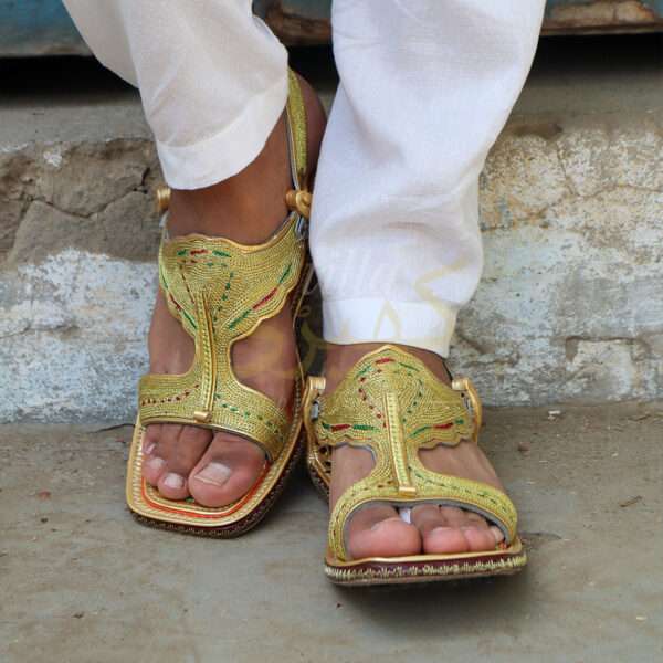 tillakheri, tillachappal, tillywalichappal, zarichappal, talagang zari chappal, lawachappal, zarichappaldesign, ChakwaliaShoes, zarichappal, zarikheri, mianwalizarichappal, lawazarichappal,nawabichappal, zaritillachappal, zaritillakheri