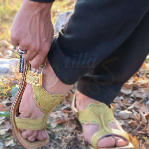 tillakheri, tillachappal, tillywalichappal, zarichappal, talagang zari chappal, lawachappal, zarichappaldesign, ChakwaliaShoes, zarichappal, zarikheri, mianwalizarichappal, lawazarichappal,nawabichappal, zaritillachappal, zaritillakheri crkheri crwalikheri zarisandal