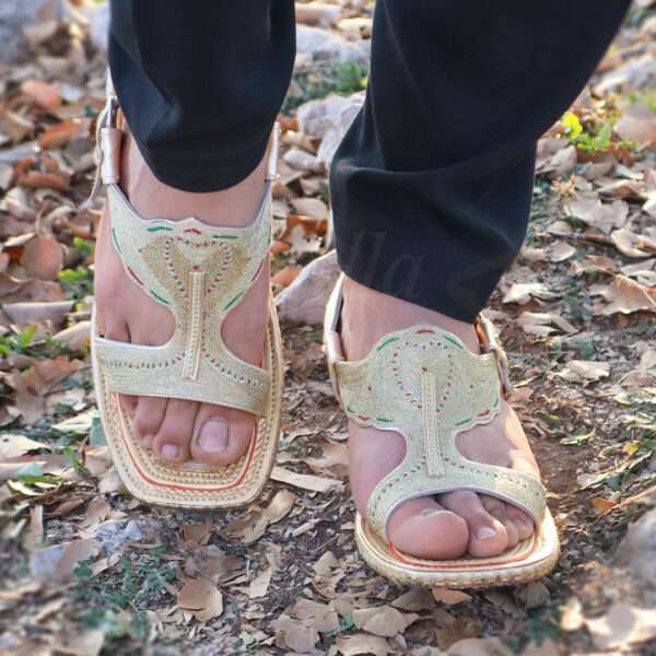 tillakheri, tillachappal, tillywalichappal, zarichappal, talagang zari chappal, lawachappal, zarichappaldesign, ChakwaliaShoes, zarichappal, zarikheri, mianwalizarichappal, lawazarichappal,nawabichappal, zaritillachappal, zaritillakheri crkheri crwalikheri zarisandal