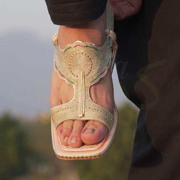 tillakheri, tillachappal, tillywalichappal, zarichappal, talagang zari chappal, lawachappal, zarichappaldesign, ChakwaliaShoes, zarichappal, zarikheri, mianwalizarichappal, lawazarichappal,nawabichappal, zaritillachappal, zaritillakheri