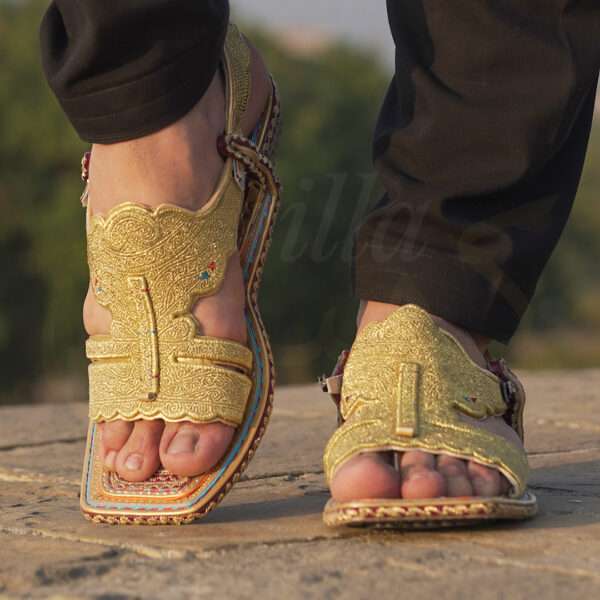 tillakheri, tillachappal, tillywalichappal, zarichappal, talagang zari chappal, lawachappal, zarichappaldesign, ChakwaliaShoes, zarichappal, zarikheri, mianwalizarichappal, lawazarichappal,nawabichappal, zaritillachappal, zaritillakheri crkheri crwalikheri zarisandal