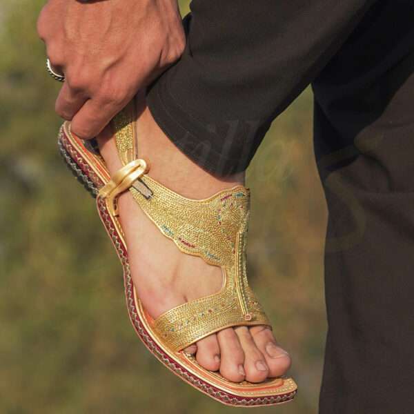 tillakheri, tillachappal, tillywalichappal, zarichappal, talagang zari chappal, lawachappal, zarichappaldesign, ChakwaliaShoes, zarichappal, zarikheri, mianwalizarichappal, lawazarichappal,nawabichappal, zaritillachappal, zaritillakheri