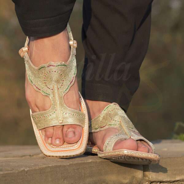 tillakheri, tillachappal, tillywalichappal, zarichappal, talagang zari chappal, lawachappal, zarichappaldesign, ChakwaliaShoes, zarichappal, zarikheri, mianwalizarichappal, lawazarichappal,nawabichappal, zaritillachappal, zaritillakheri