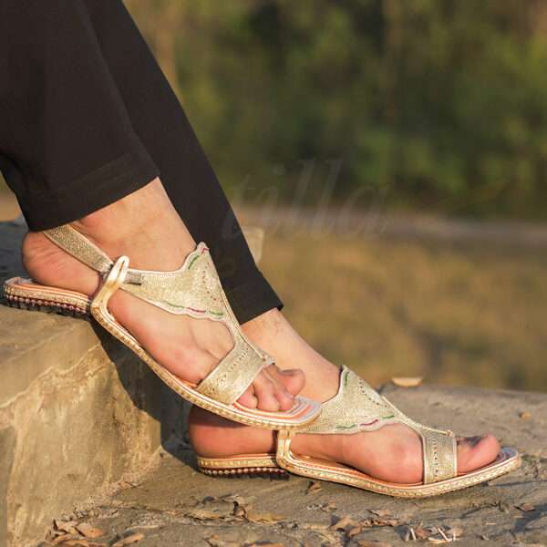 tillakheri, tillachappal, tillywalichappal, zarichappal, talagang zari chappal, lawachappal, zarichappaldesign, ChakwaliaShoes, zarichappal, zarikheri, mianwalizarichappal, lawazarichappal,nawabichappal, zaritillachappal, zaritillakheri