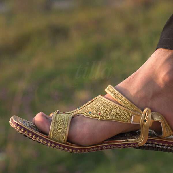 tillakheri, tillachappal, tillywalichappal, zarichappal, talagang zari chappal, lawachappal, zarichappaldesign, ChakwaliaShoes, zarichappal, zarikheri, mianwalizarichappal, lawazarichappal,nawabichappal, zaritillachappal, zaritillakheri crkheri crwalikheri zarisandal