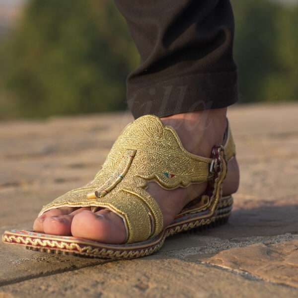 tillakheri, tillachappal, tillywalichappal, zarichappal, talagang zari chappal, lawachappal, zarichappaldesign, ChakwaliaShoes, zarichappal, zarikheri, mianwalizarichappal, lawazarichappal,nawabichappal, zaritillachappal, zaritillakheri crkheri crwalikheri zarisandal