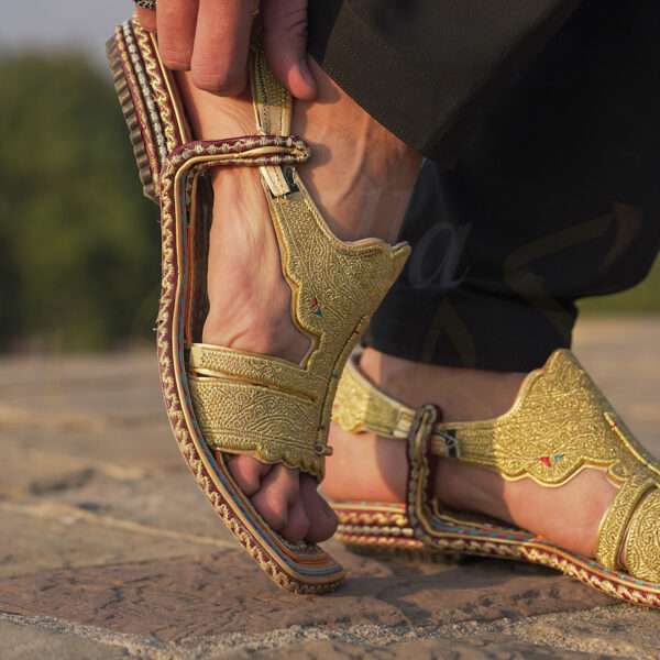 tillakheri, tillachappal, tillywalichappal, zarichappal, talagang zari chappal, lawachappal, zarichappaldesign, ChakwaliaShoes, zarichappal, zarikheri, mianwalizarichappal, lawazarichappal,nawabichappal, zaritillachappal, zaritillakheri crkheri crwalikheri zarisandal