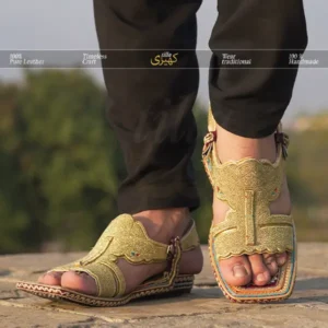 tilla kheri, zari kheri, lawa kheri, tilly wali kheri, kheri juta, tilla chappal, talagang kheri, handmade kheri from punjab, punjabi traditional footwear, zari work chappal, mens traditional shoes pakistan
